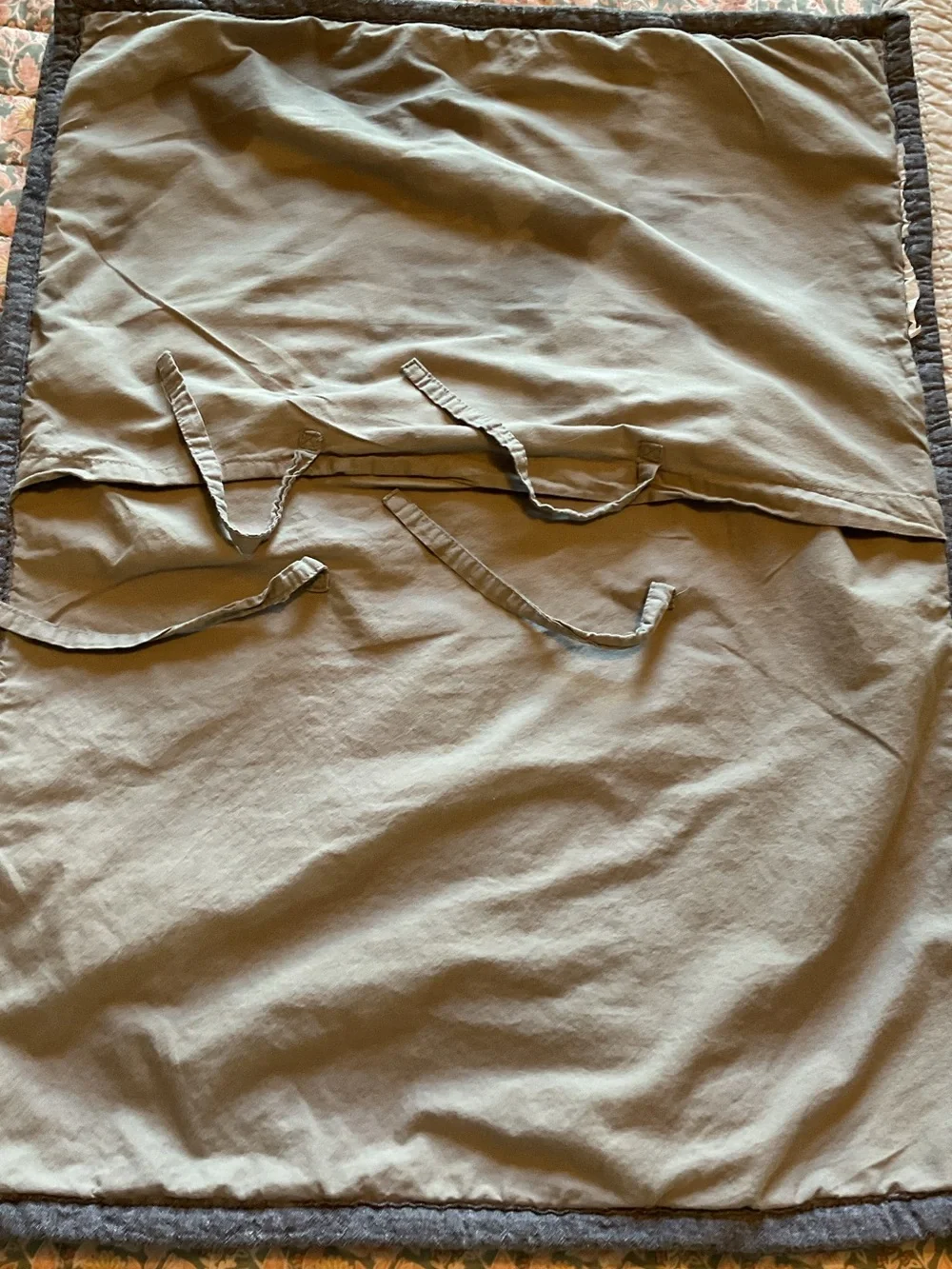 Pottery Barn Kids Dinosaur Quilted Two Shams
